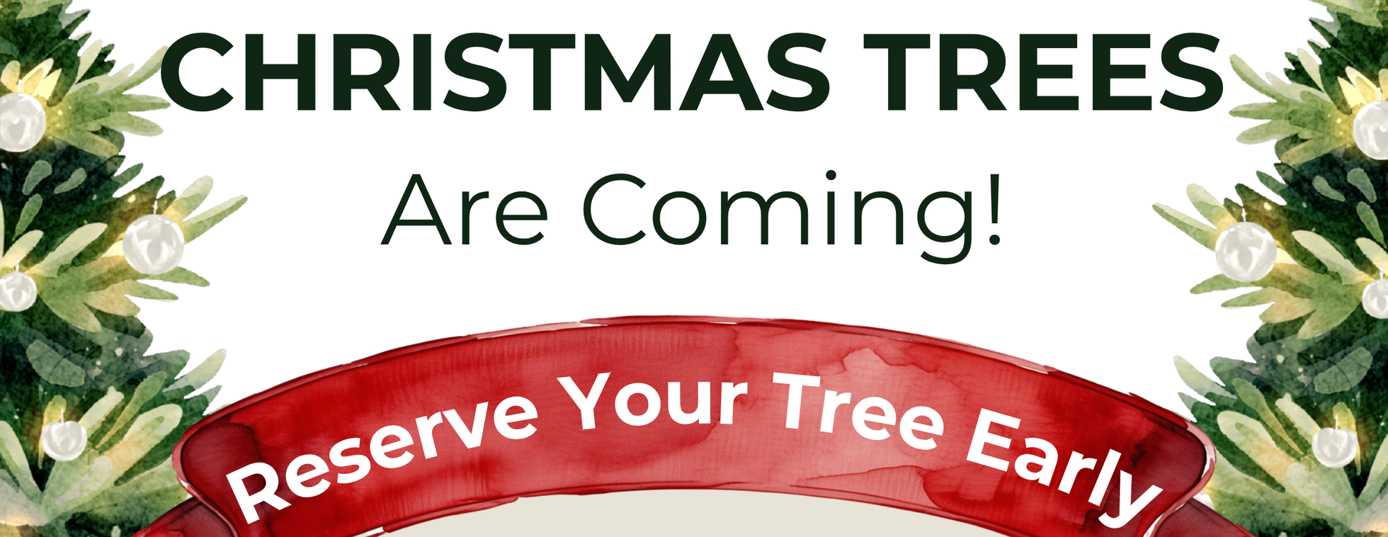 CRCI Christmas Trees 2026